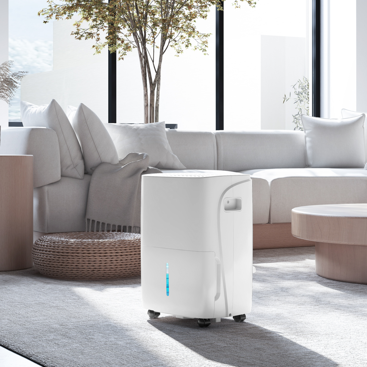 HOMCOM 30L/Day Dehumidifier, with Auto-Clean Filter